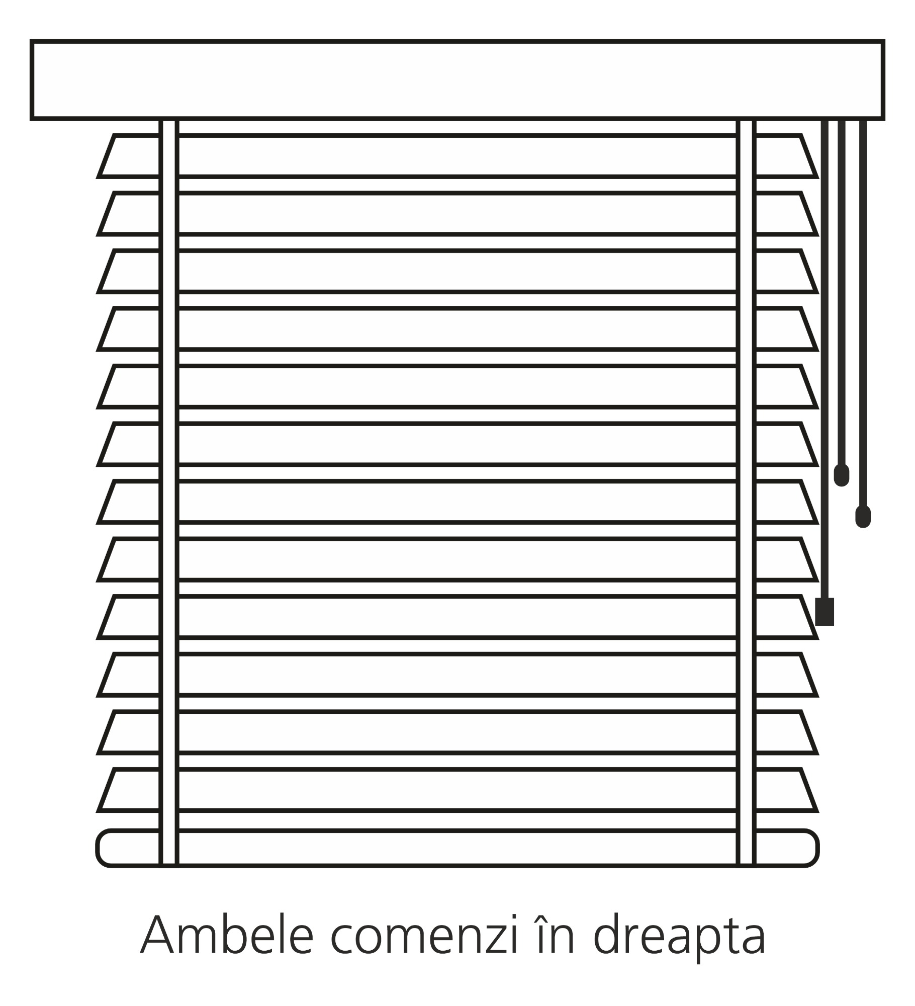 Ambele comenzi dreapta